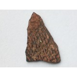 Skořápka z vejce dinosaura